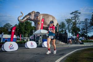 BIB: 
                            <button type="button" onclick="openModal(26541949)" class="btn btn-primary btn-sm float-right btn-popup" data-toggle="modal" data-target=".modal-high-quality">
                        <i class="fas fa-shopping-cart"></i> Add to Cart
                    </button>
                                            <button type="button" onclick="isThisMe(26541949, true)" class="btn btn-success btn-sm float-right btn-popup btn-isme hidden" data-toggle="tooltip" data-placement="bottom" title="นี่คือรูปของคุณใช่ไหม คลิกที่นี่เพื่อเอาเข้าอัลบั้ม">
                        <i class="fas fa-plus"></i> Add to album
                    </button>
                    <button type="button" onclick="isThisMe(26541949, false)" class="btn btn-warning btn-sm float-right btn-popup btn-isnotme hidden">
                        <i class="fas fa-ban"></i> Remove from album
                    </button>